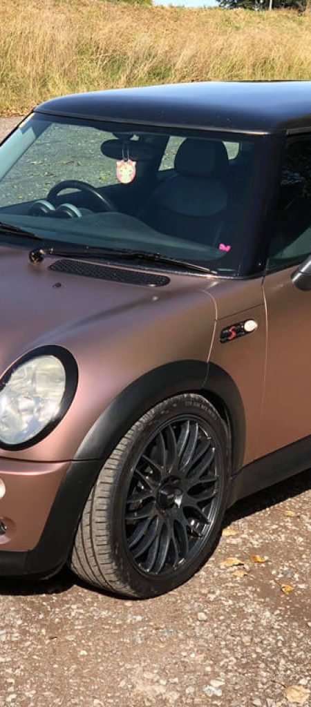 Matte Rose Gold Mini