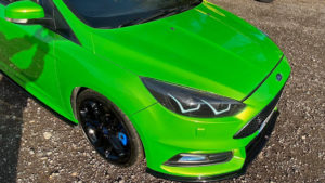 Wasabi Green Focus